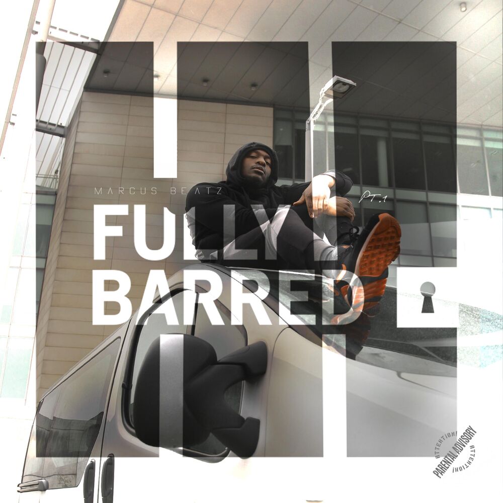 Picture of Fully Barred, Pt. 1