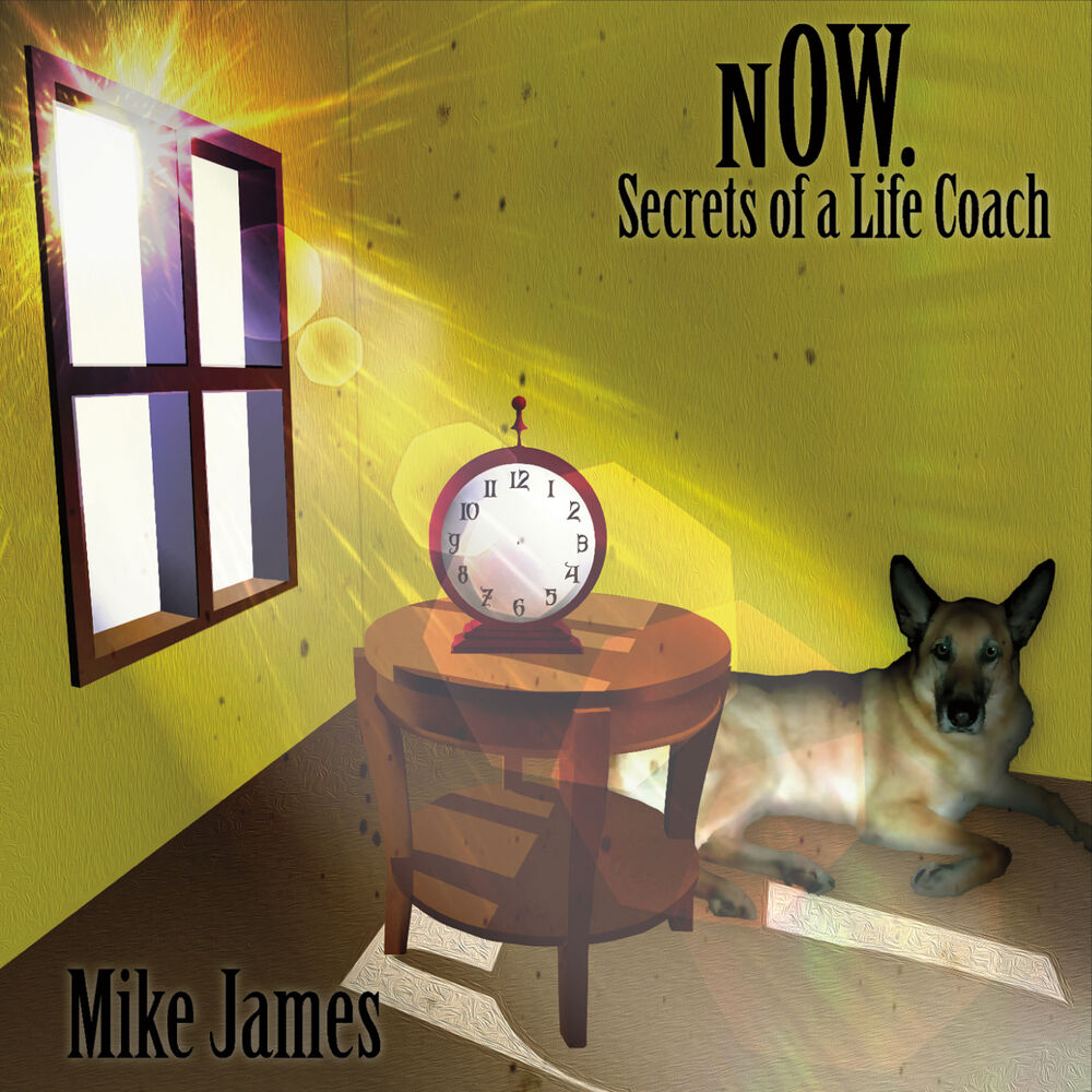 Picture of Now. Secrets of a Life Coach