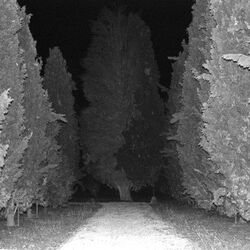 Cover of SPLIT