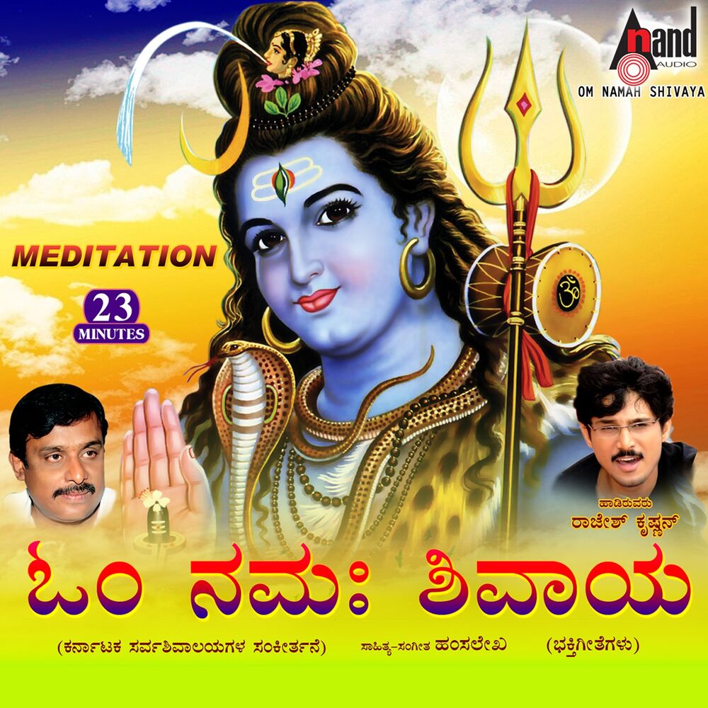 Picture of Om Namah Shivaya