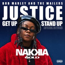 Cover of Justice (Get Up, Stand Up) (Special Edition)