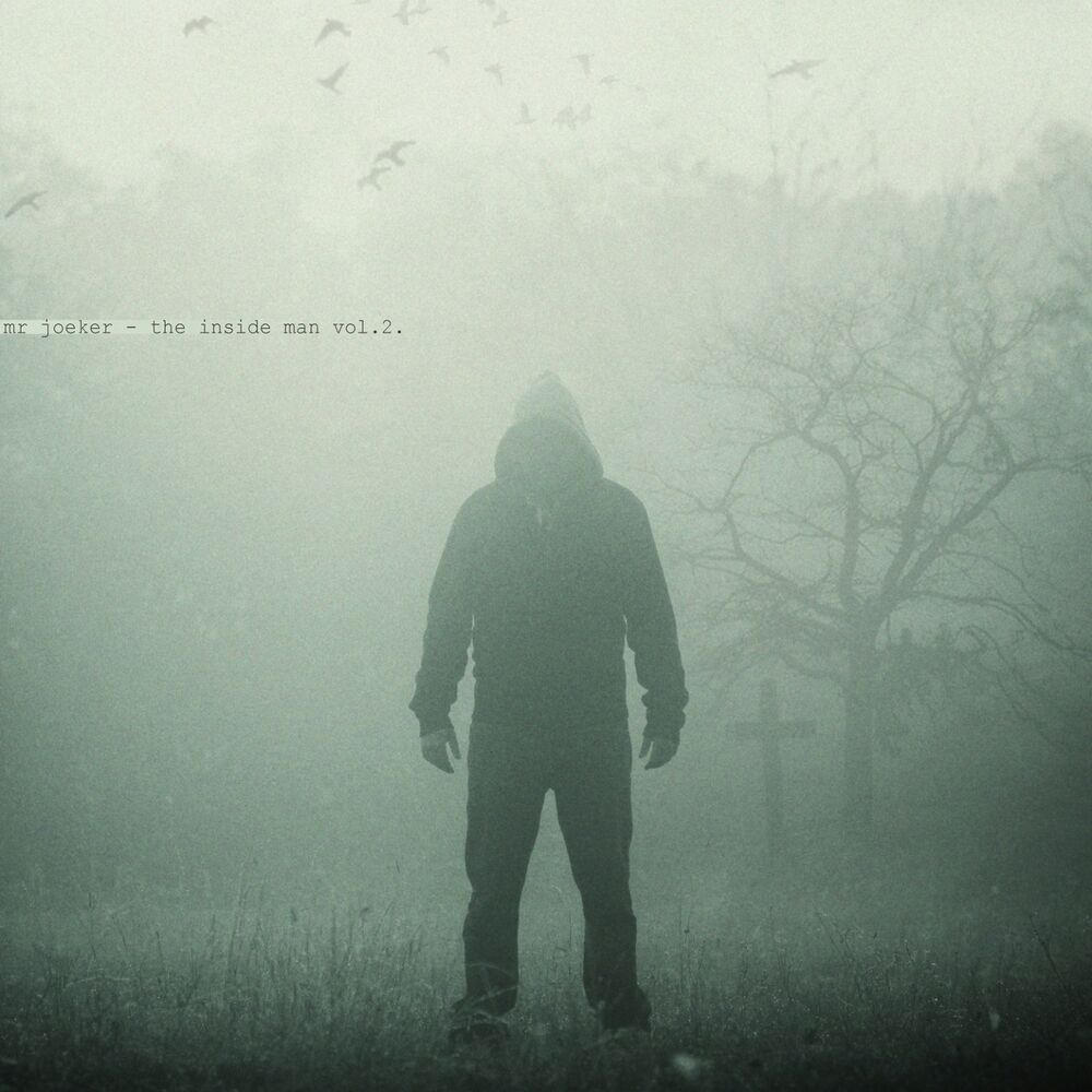 Picture of The Inside Man, Vol. 2