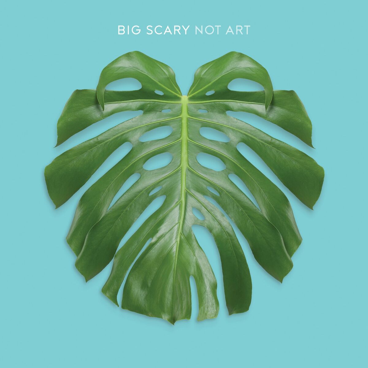 Album cover of Not Art