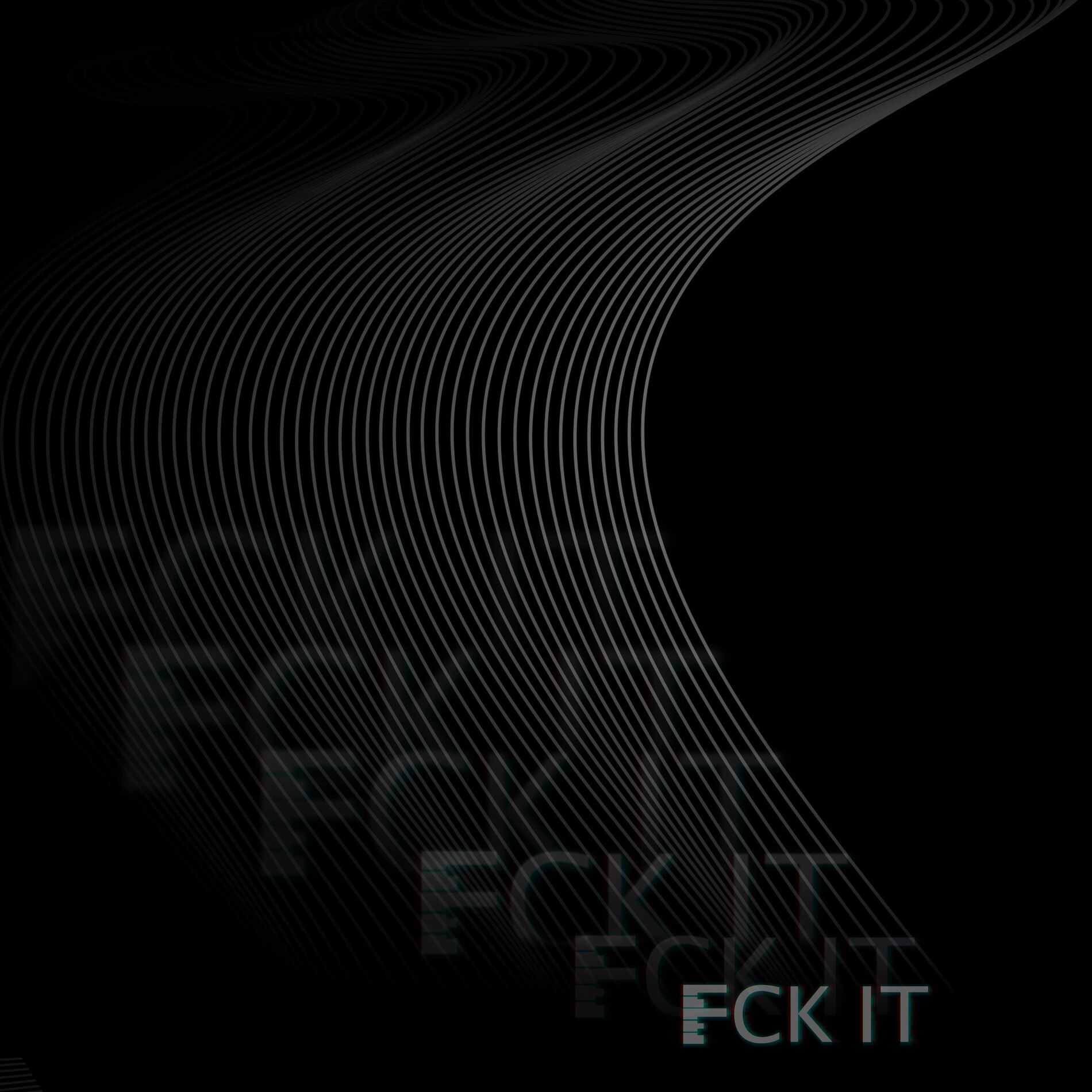Album cover of FCK IT