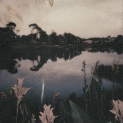 Cover of Paraíso