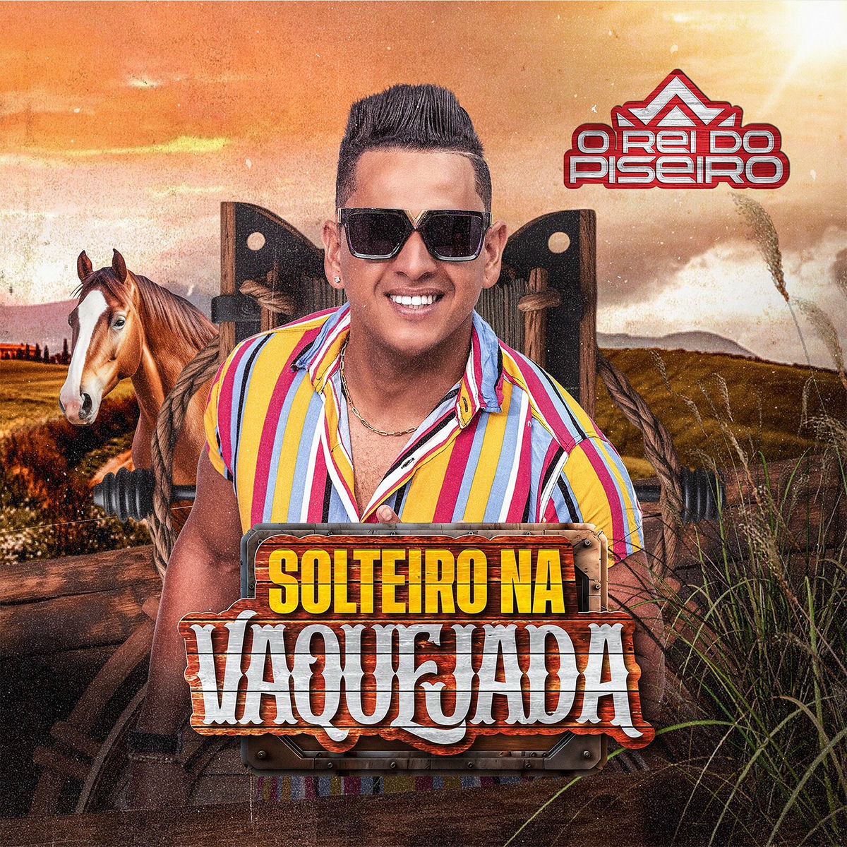 Album cover of Solteiro Na Vaquejada
