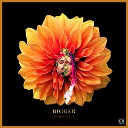 Cover of Bigger