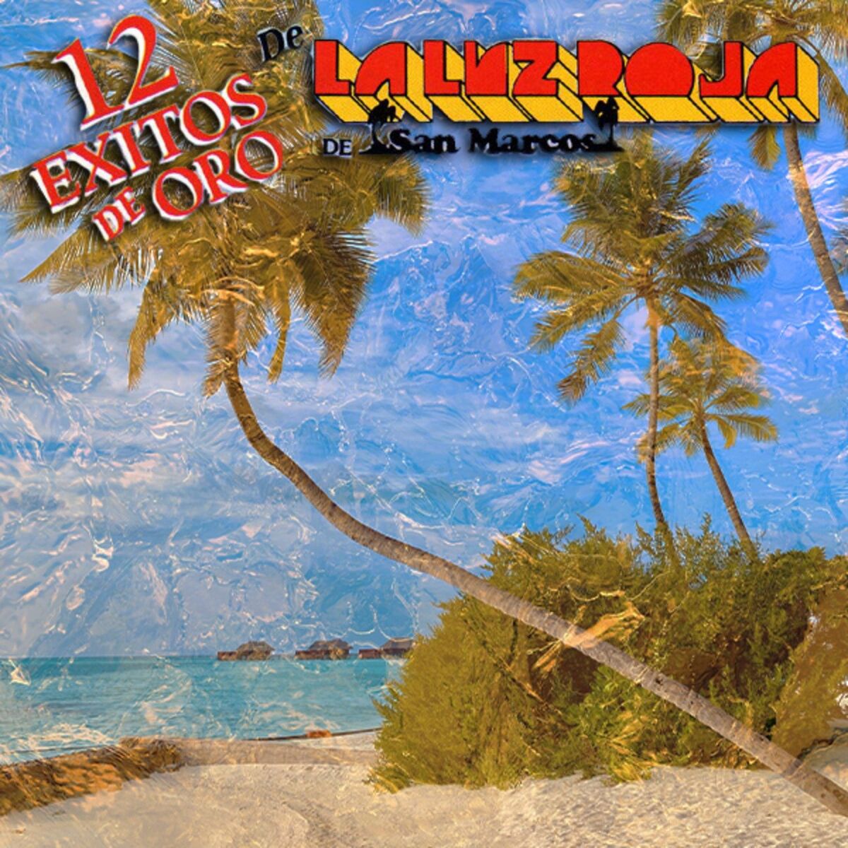 Album cover of 12 Exitos De Oro
