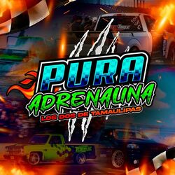 Cover of Pura Adrenalina