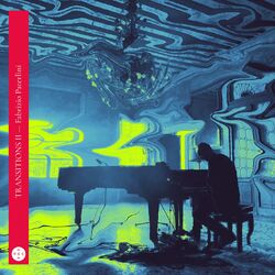 Cover of Transitions II