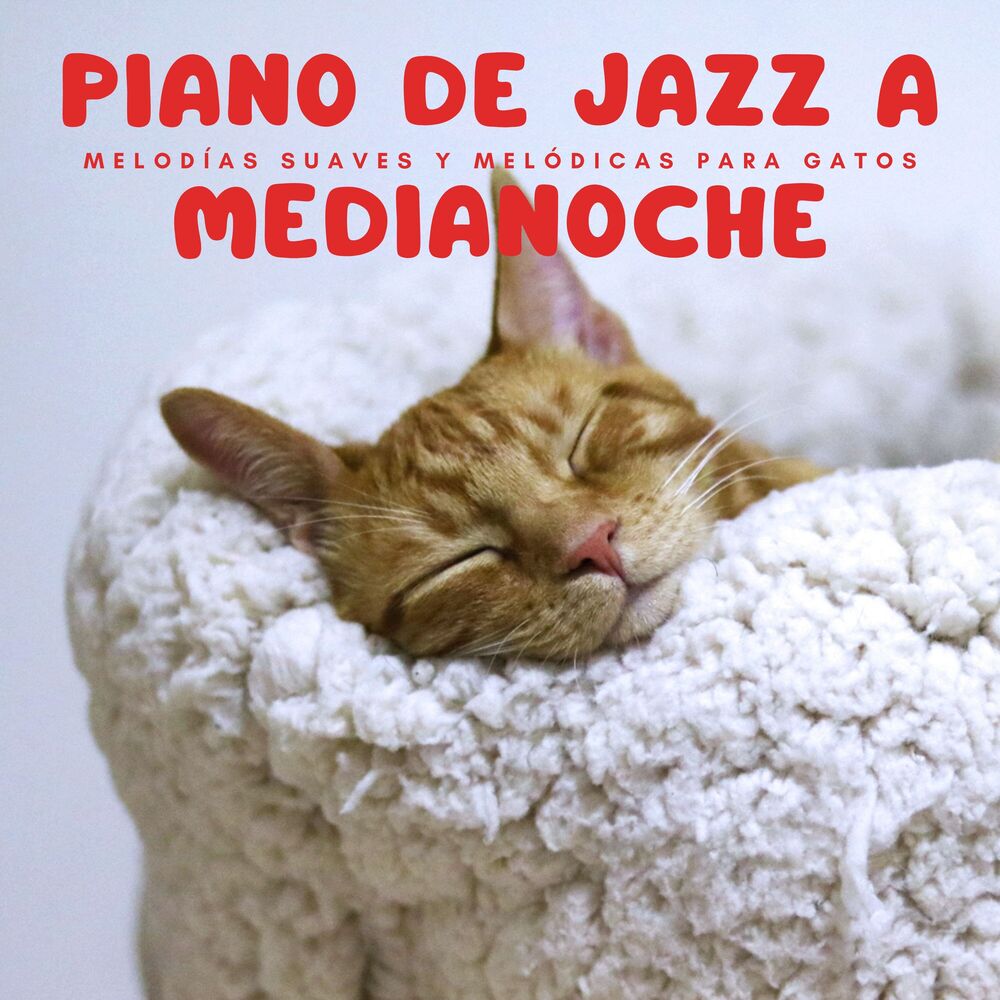 Picture of Piano De Jazz A Medianoche: Melodías Suaves Y Melódicas Para Gatos