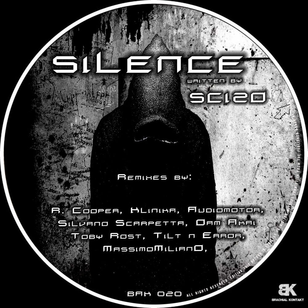 Picture of Silence