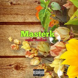 Cover of Vaka Malisa