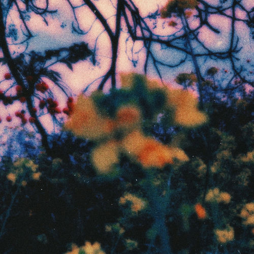 Rest (Paperwhite Remix)