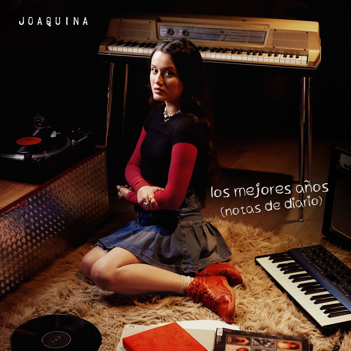 Album cover of los mejores años (notas de diario)