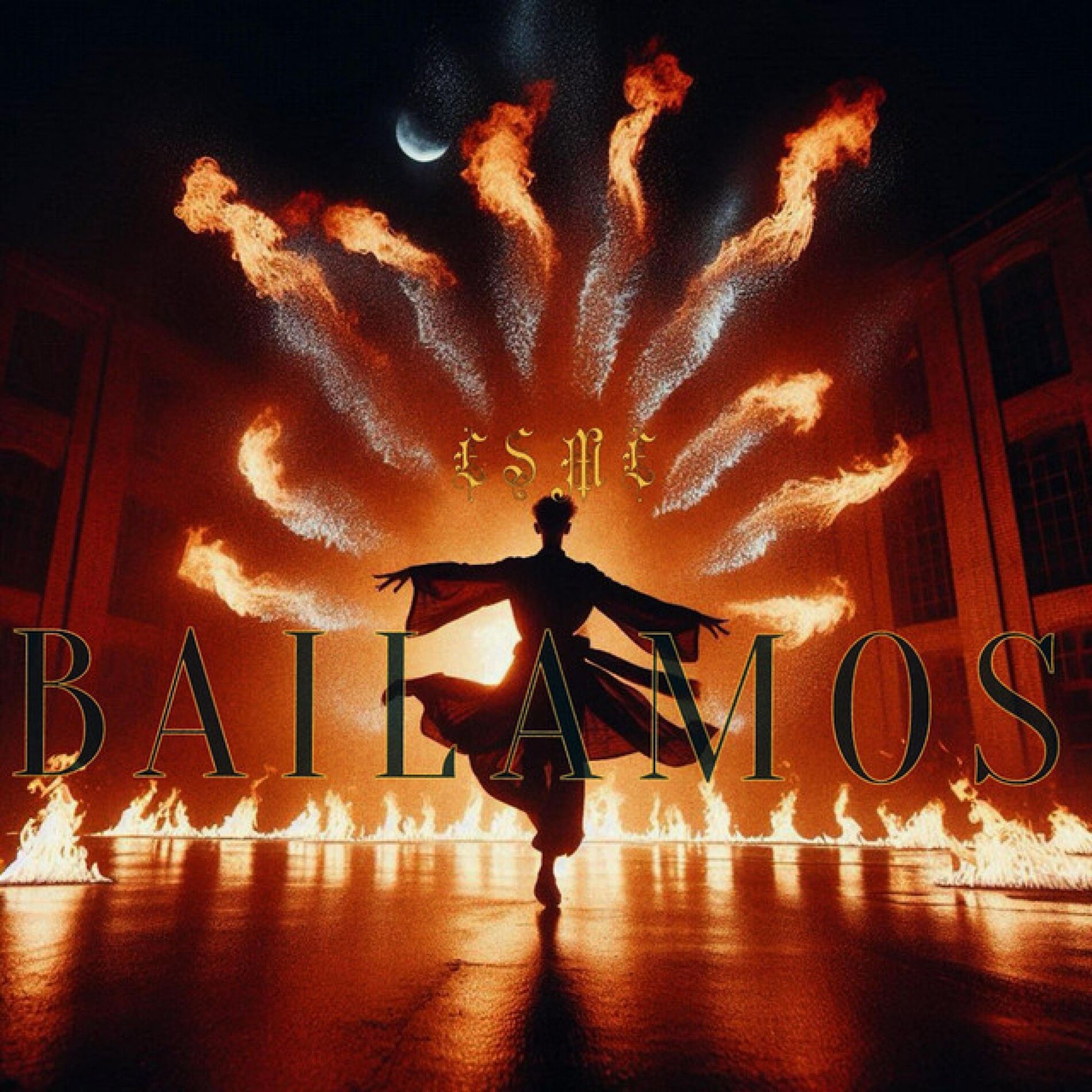Album cover of Bailamos