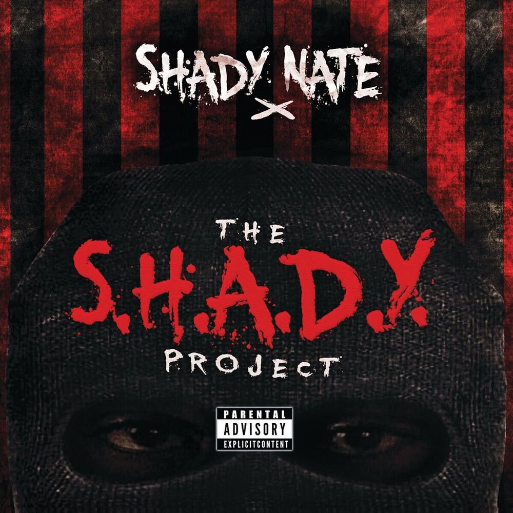 Picture of The S.H.A.D.Y. Project