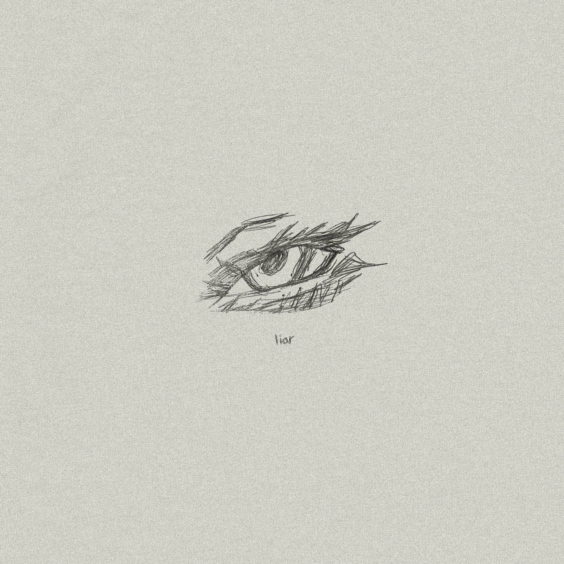 Album cover of Liar