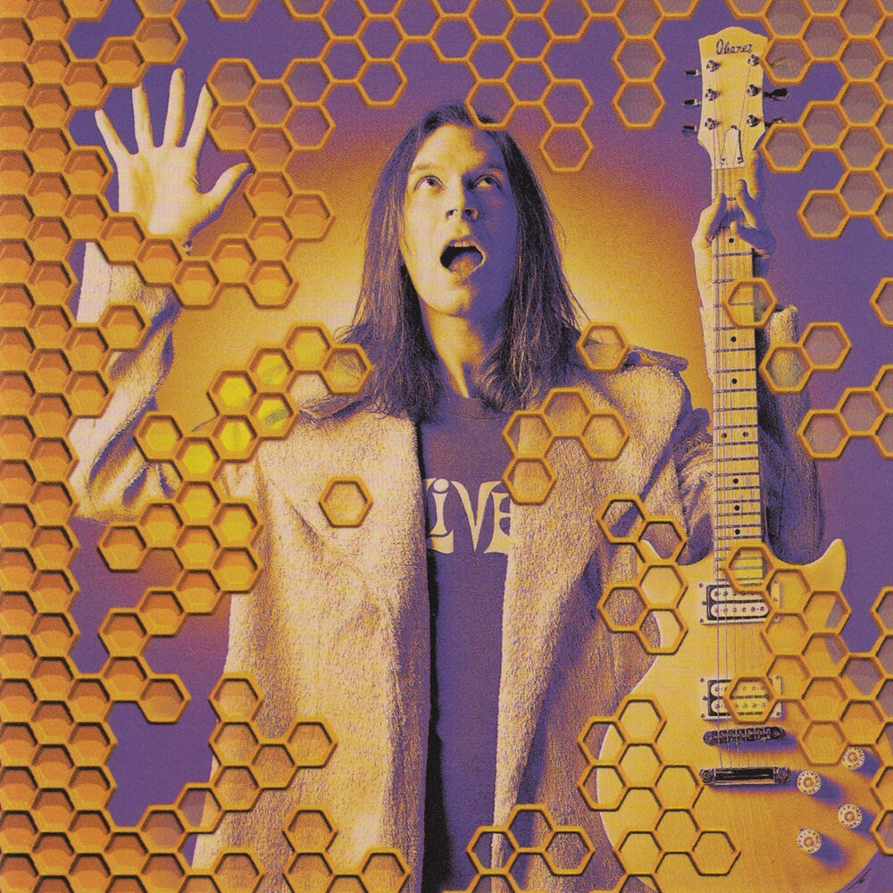Picture of Beehive (Live)