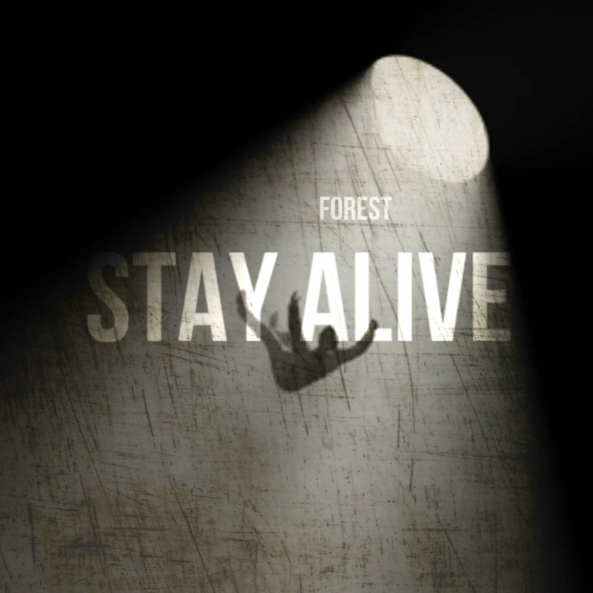 Album cover of Stay Alive