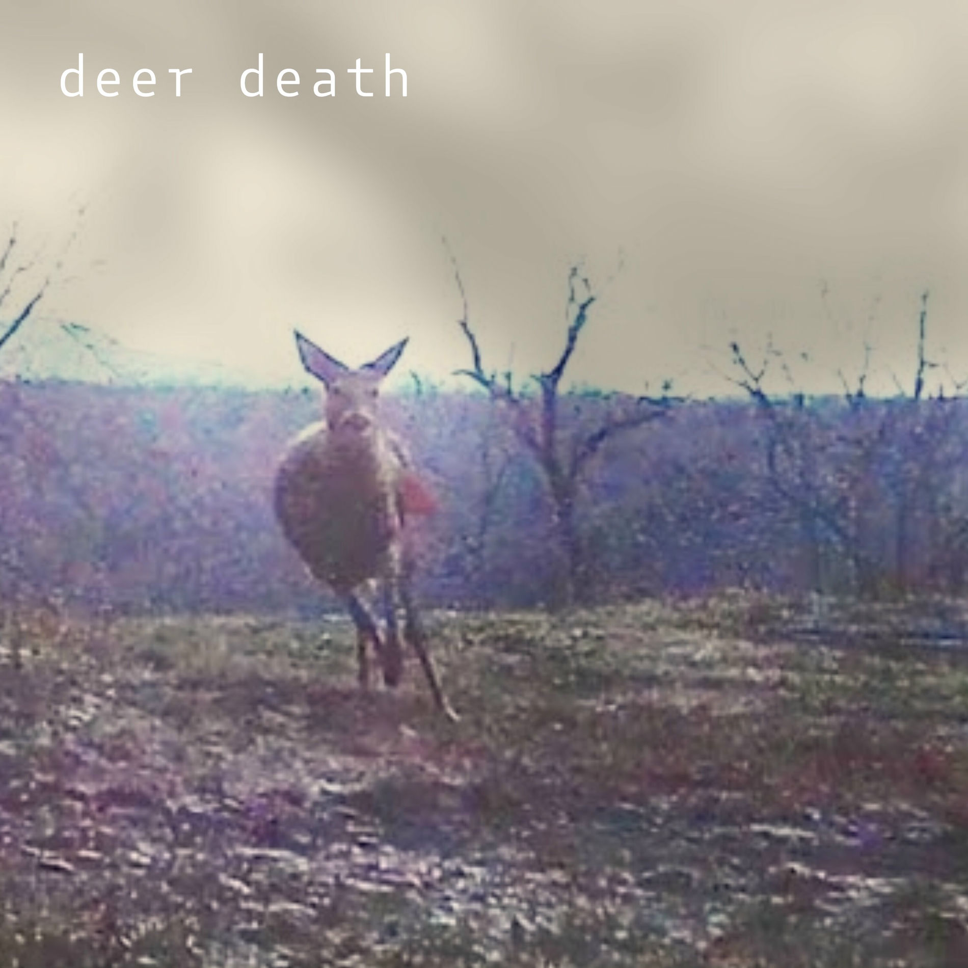 Album cover of demos & throwaways