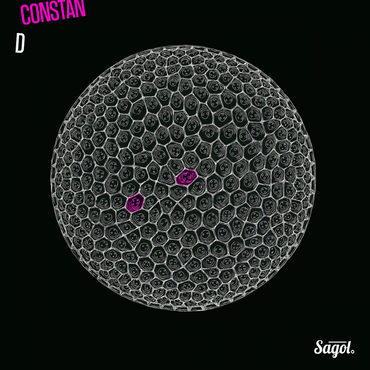 Album cover of D