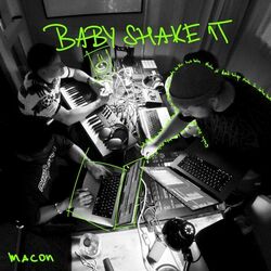 Cover of Baby Shake It