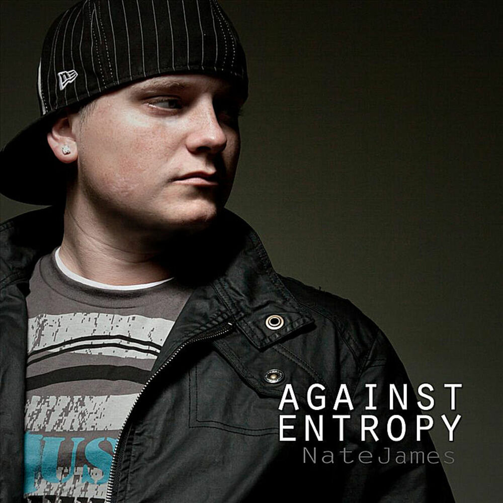 Picture of Against Entropy