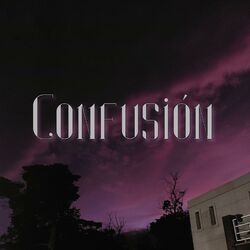 Cover of Confusión