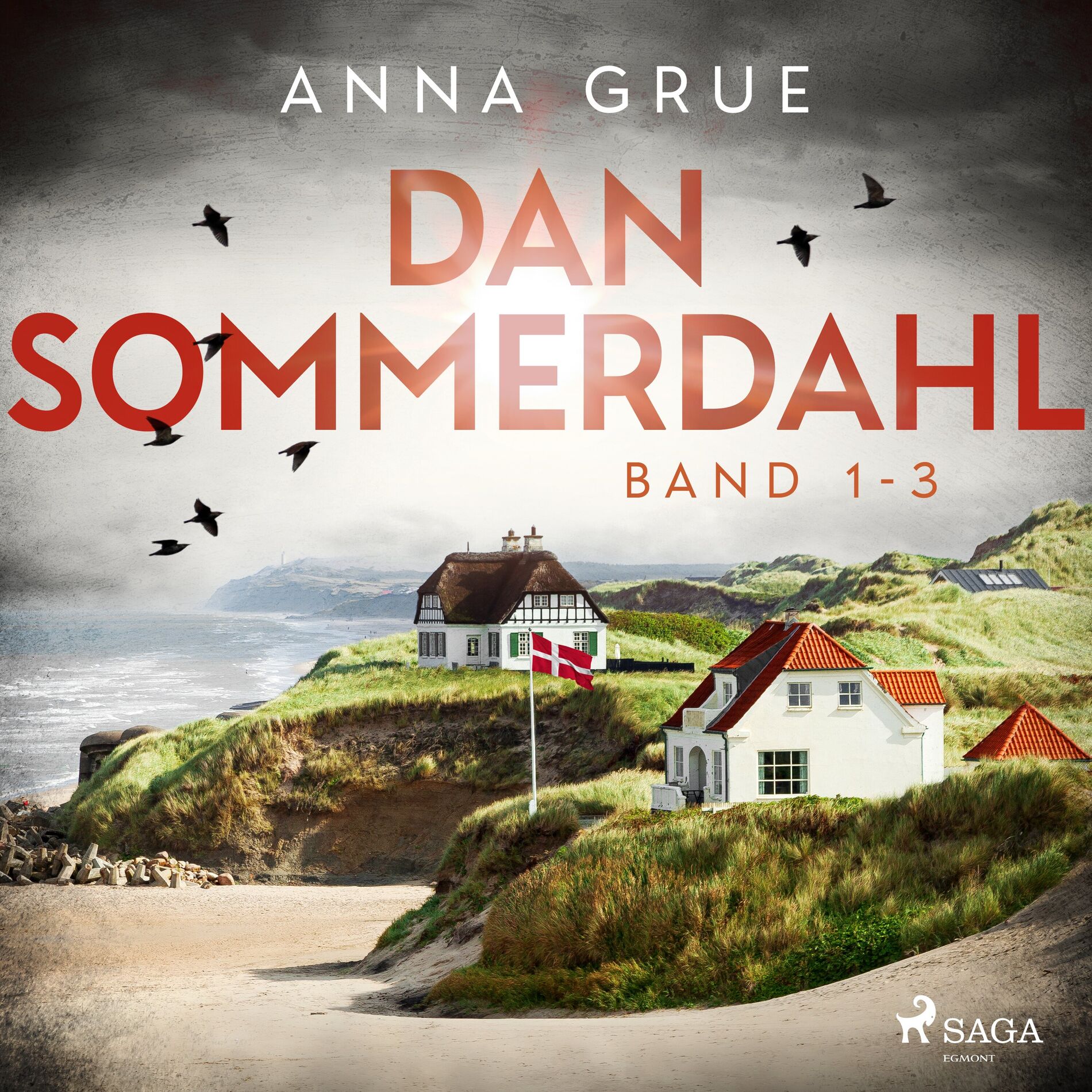 Album cover of Kapitel 01 - Dan Sommerdahl (Band 1-3)