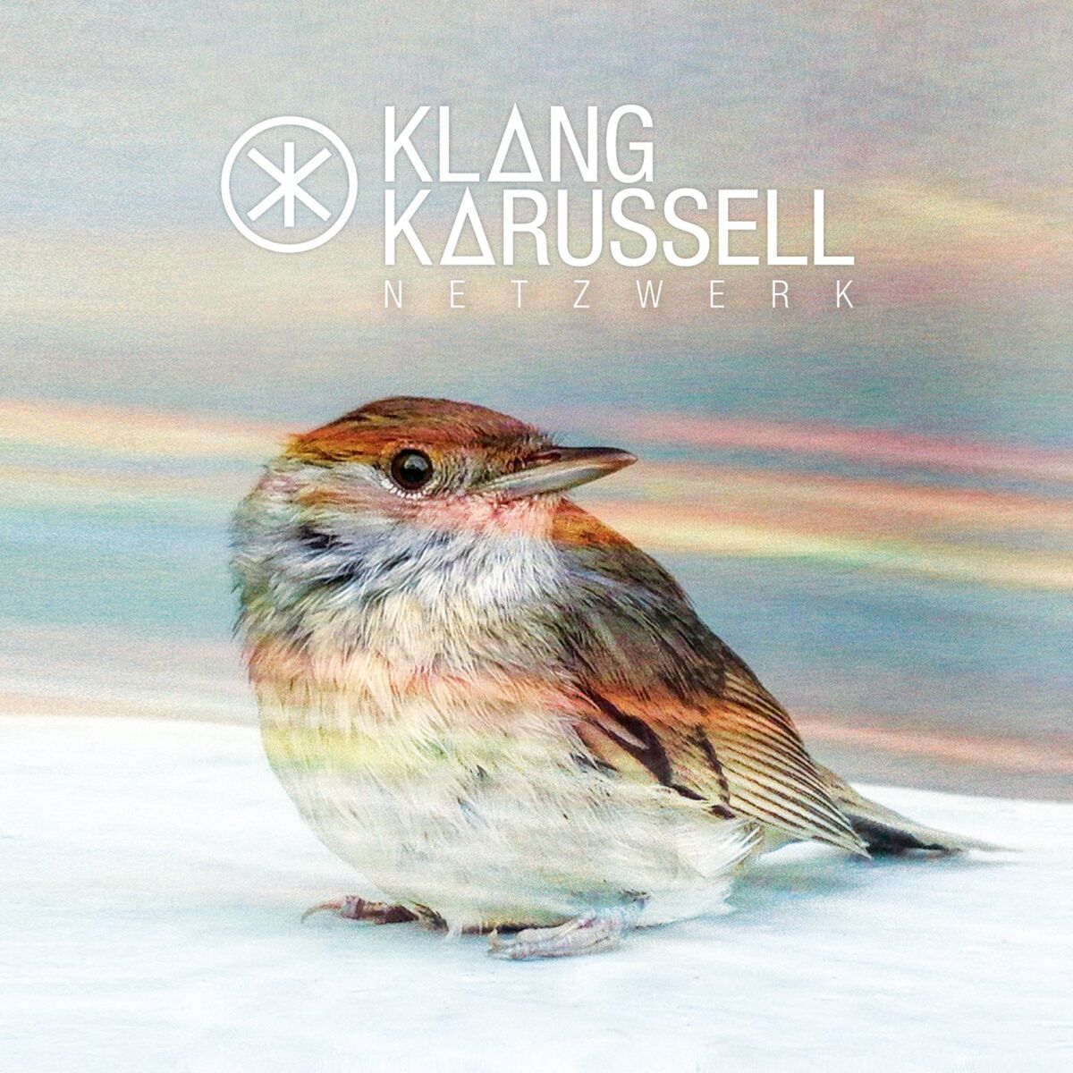 Album cover of Netzwerk (Deluxe)