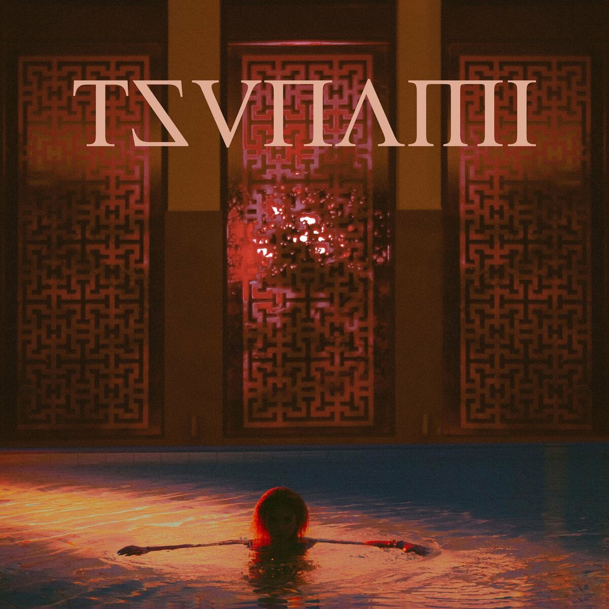 Album cover of Tsunami