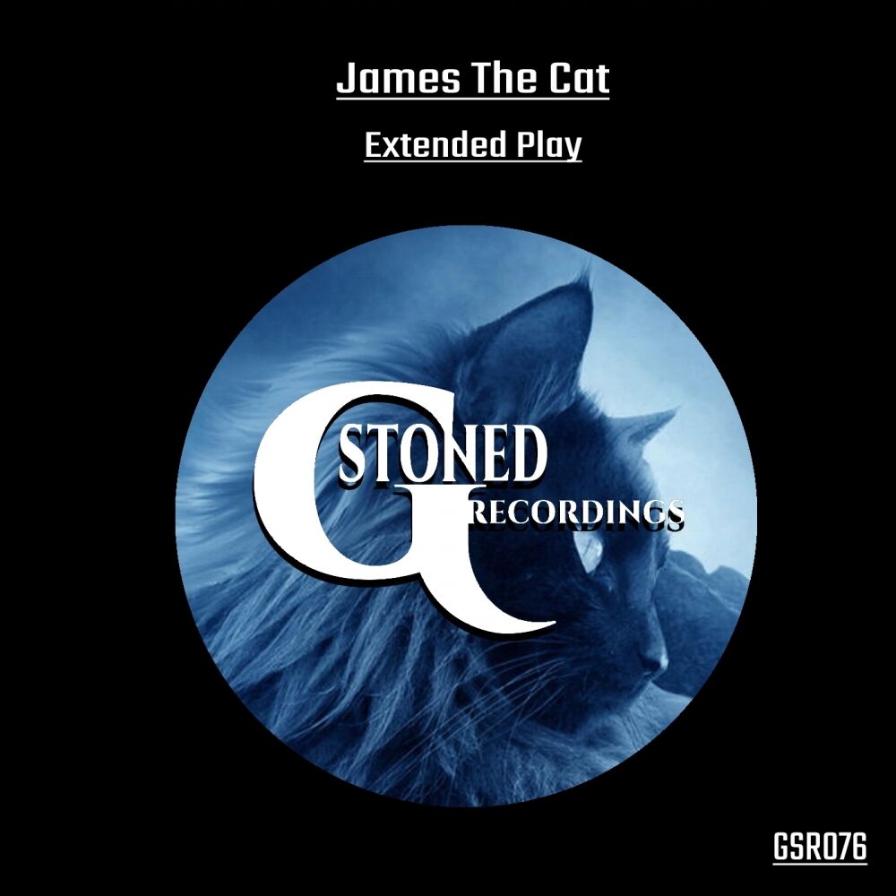 Picture of Extended Play