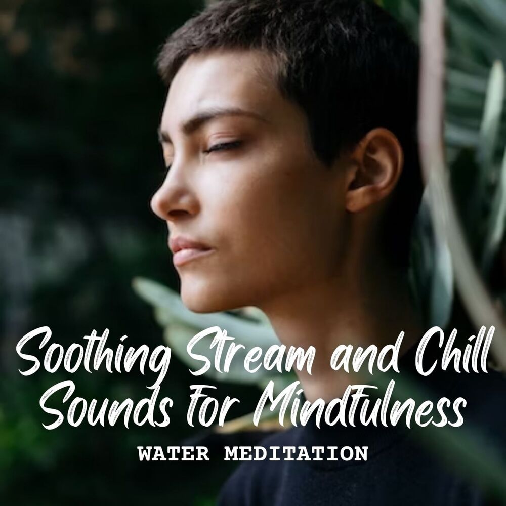Picture of Water Meditation: Soothing Stream and Chill Sounds for Mindfulness