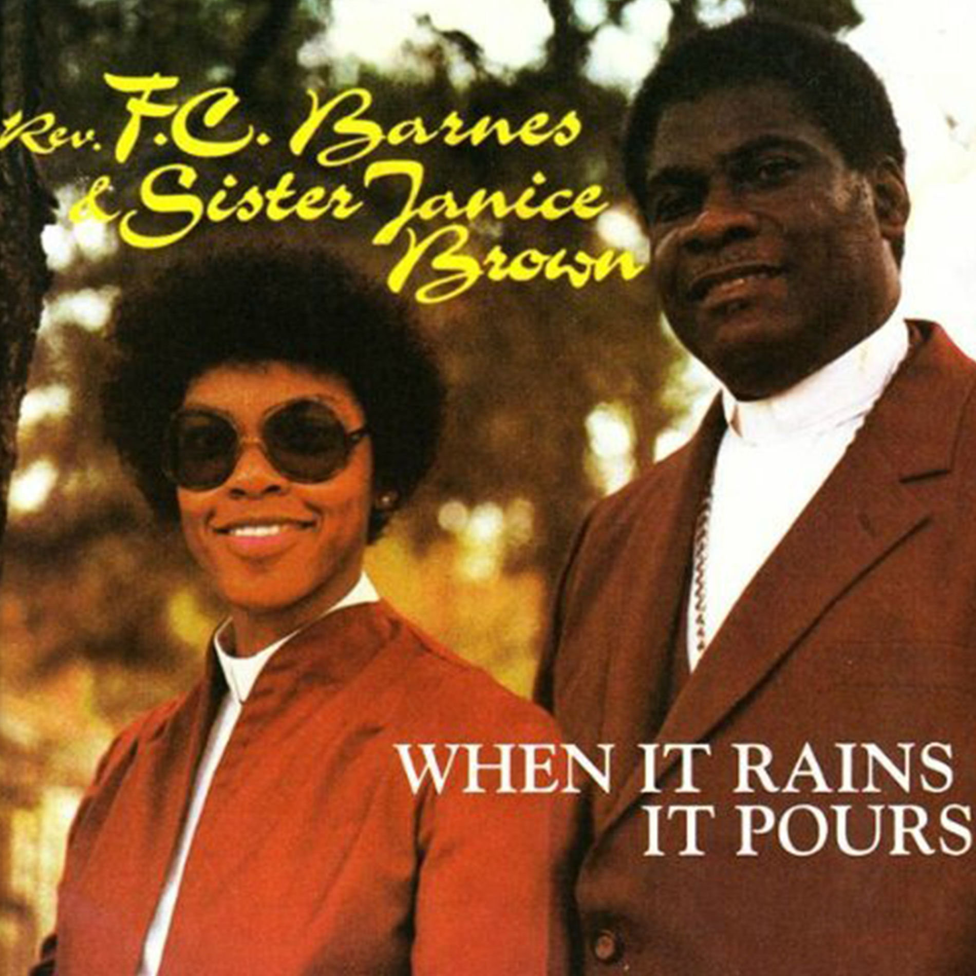 Album cover of When It Rains It Pours