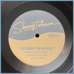 Cover of Already Beautiful