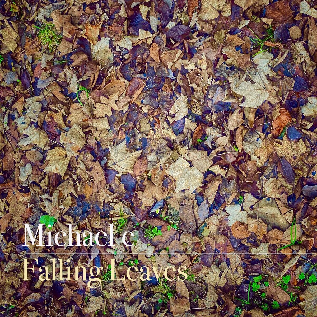 Album cover of Falling Leaves