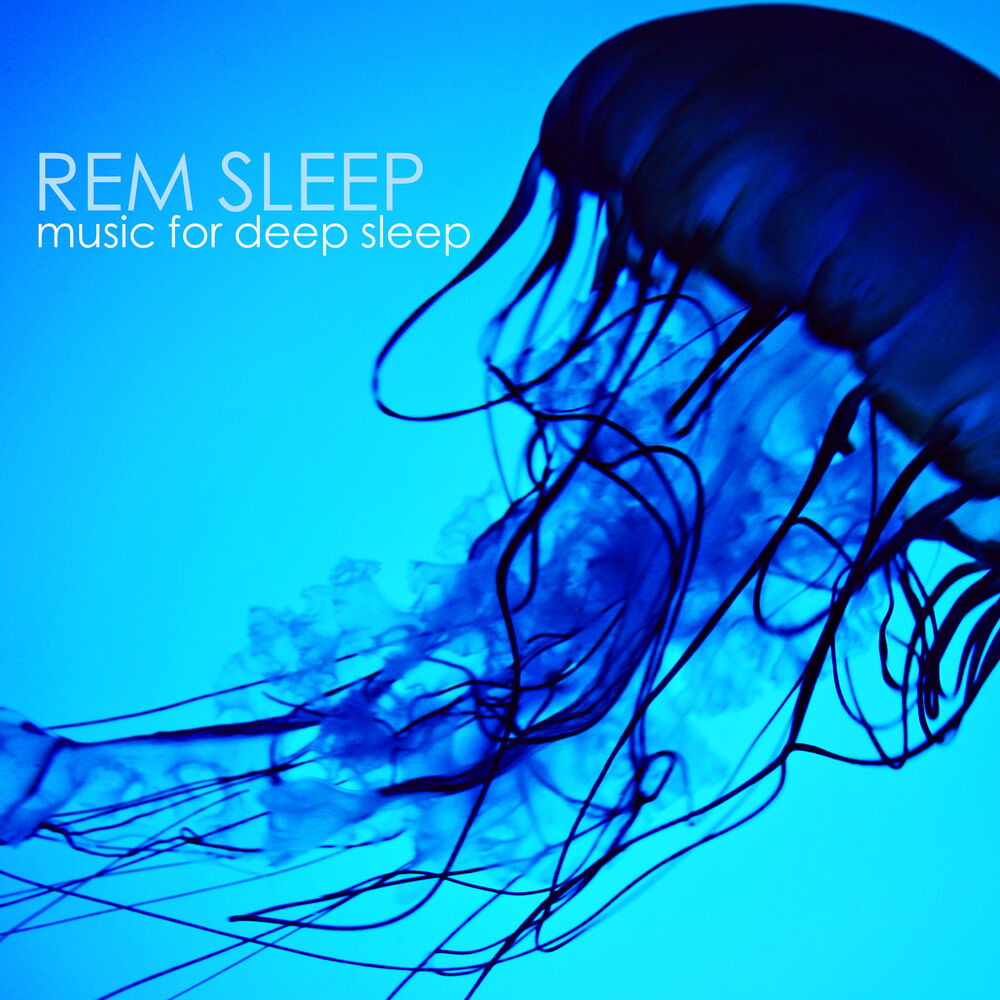 Picture of REM Sleep Cycle - Sleep Music to Relax, Soothing Sounds of Nature for Deep Sleep