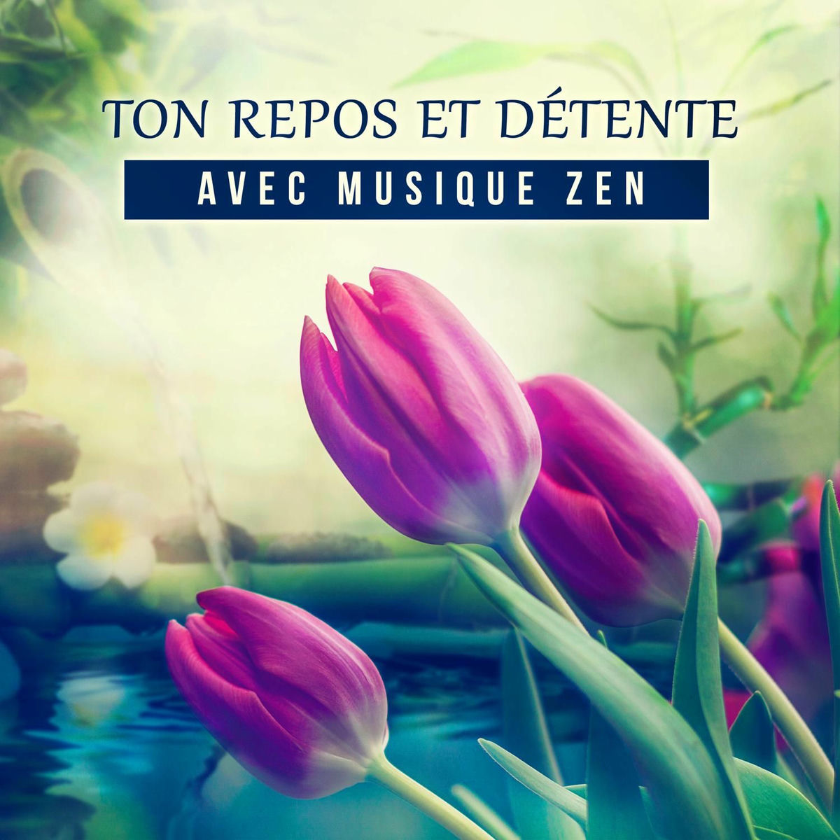Album cover of Ton repos et détente avec musique zen – Se relaxer aux sons de la nature pour le bien-être et l'harmonie intérieure, Musique apais