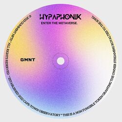 Cover of Enter the metaverse