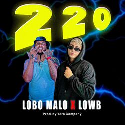 Cover of 220