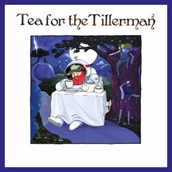 Cover of Tea For The Tillerman²