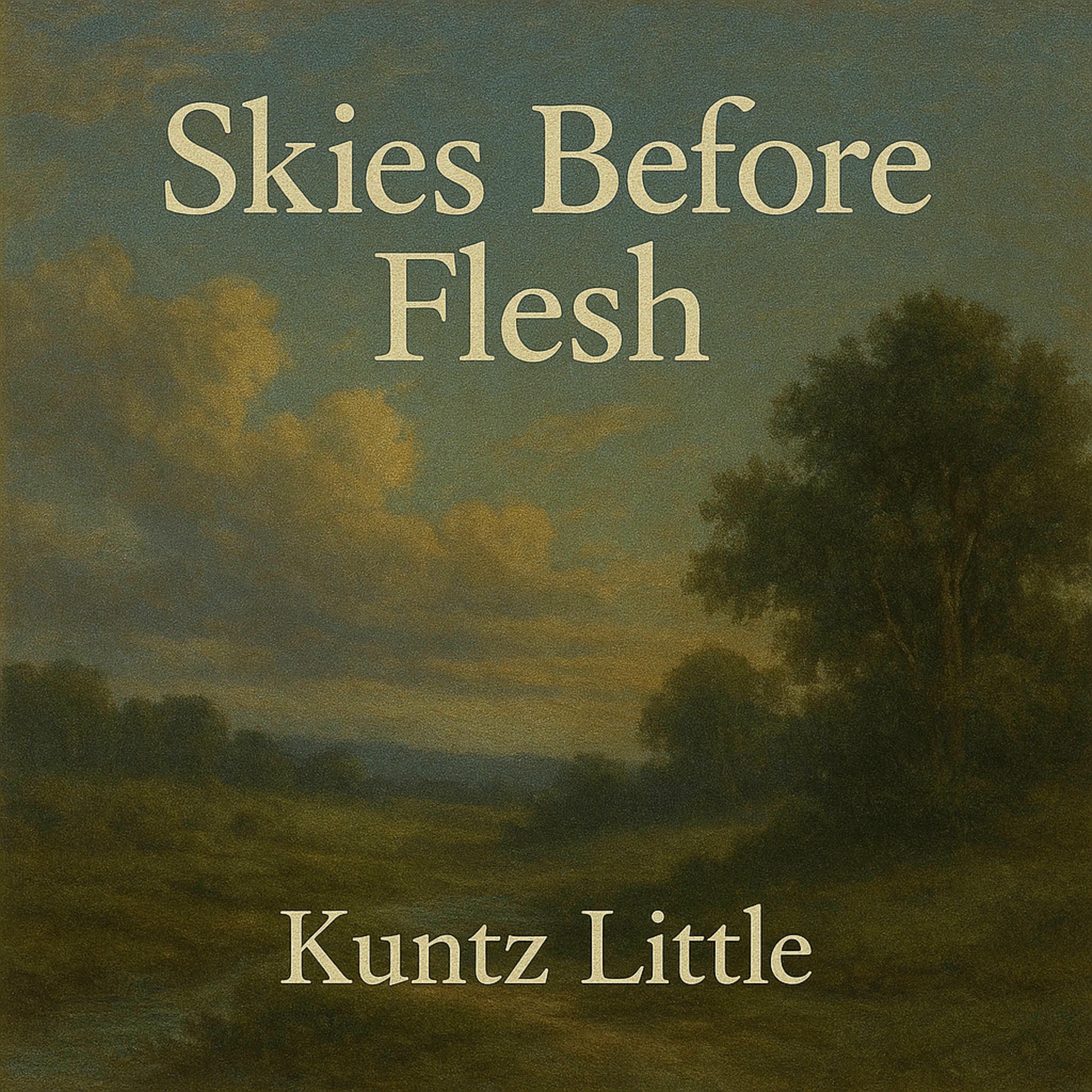 Album cover of Skies Before Flesh
