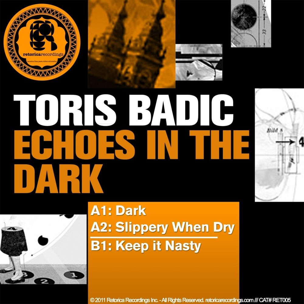 Picture of Echoes In the Dark