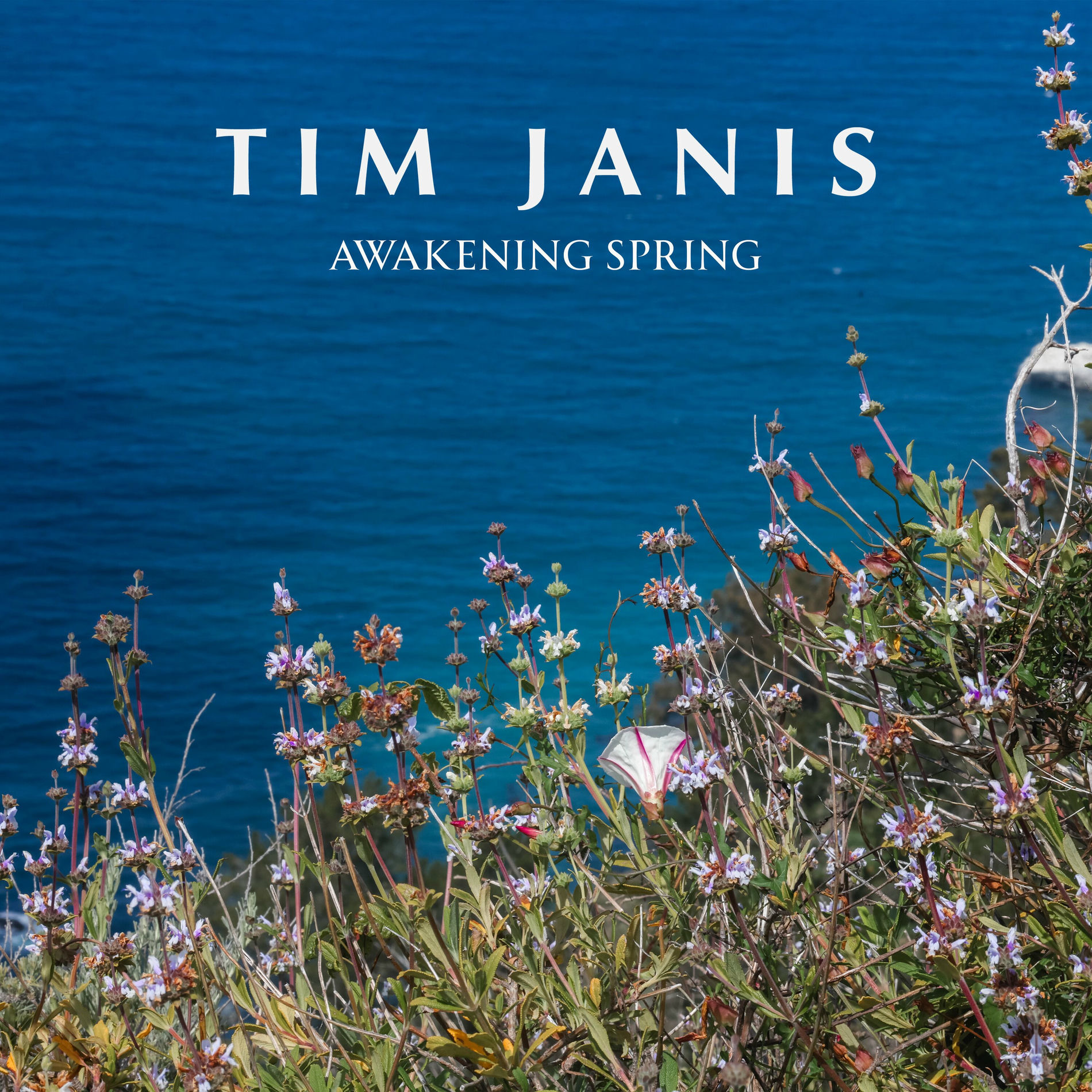 Album cover of Amazing Grace