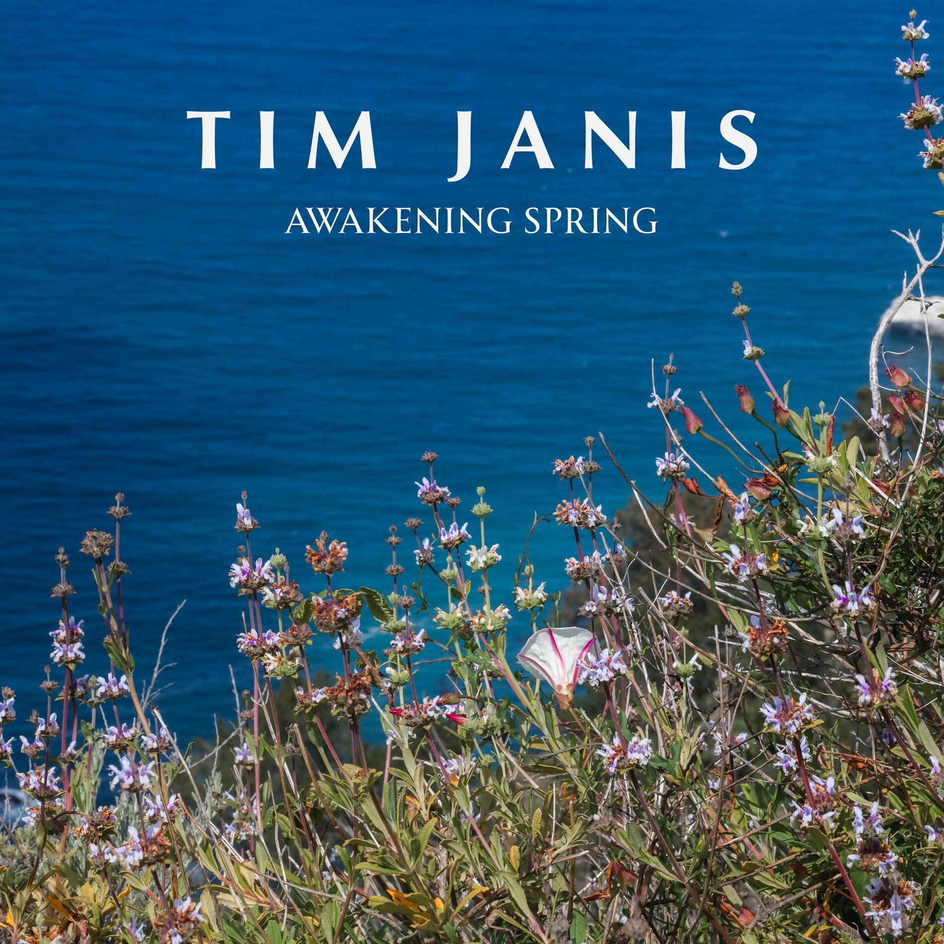 Album cover of Awakening Spring