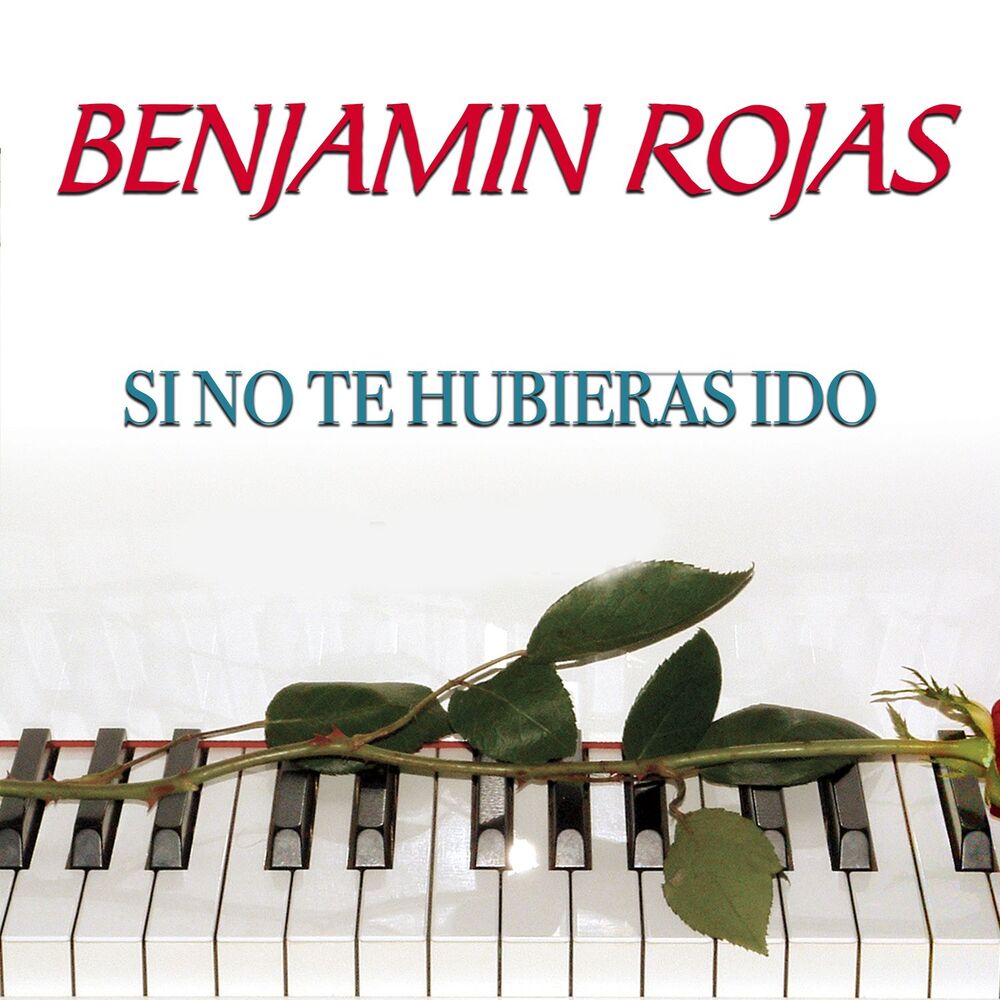 Picture of Si No Te Hubieras Ido