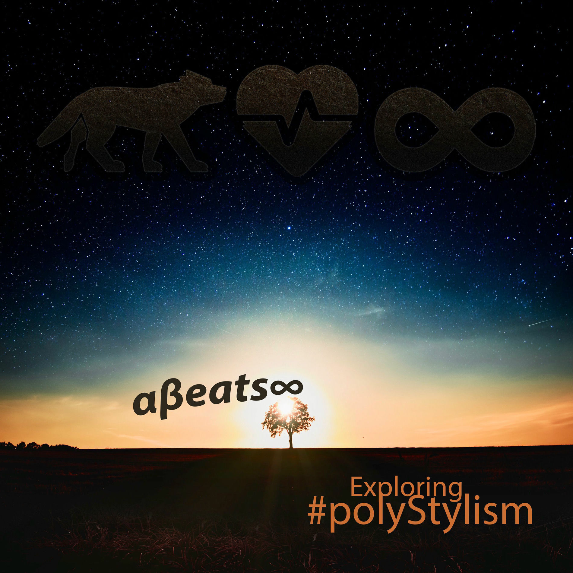 Album cover of Exploring #polyStylism