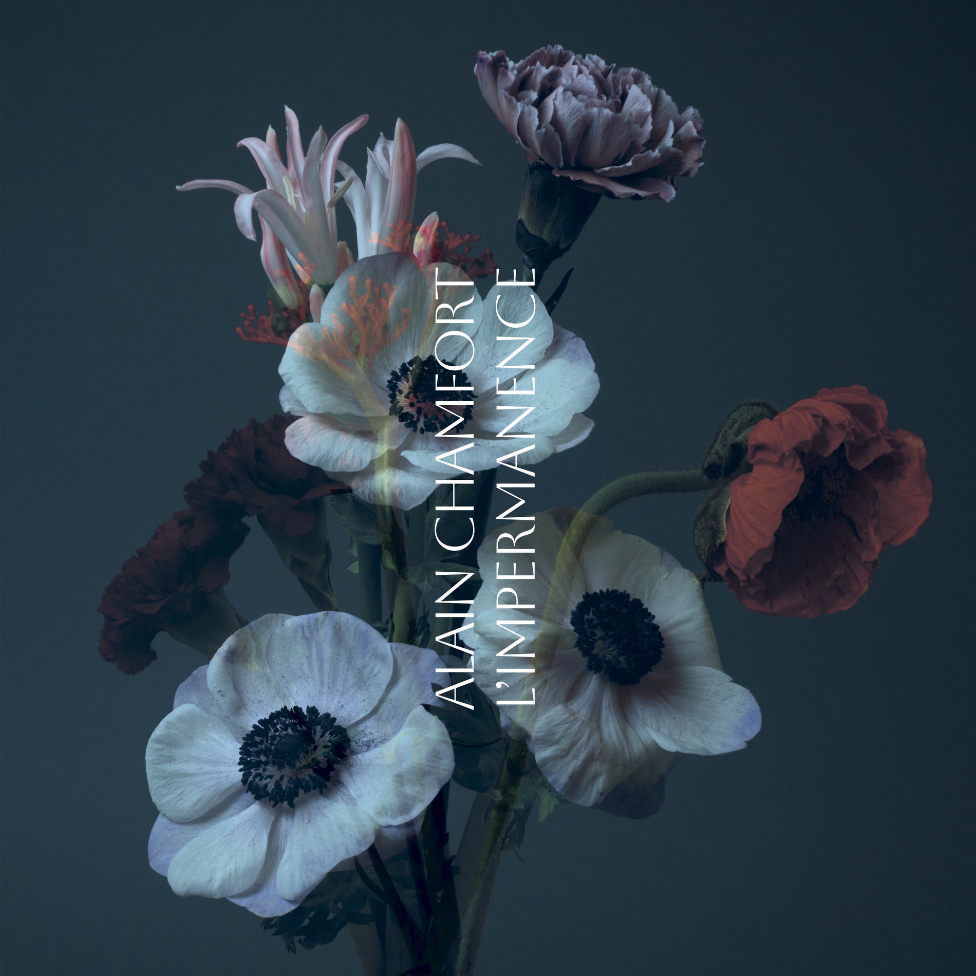 Album cover of L'impermanence