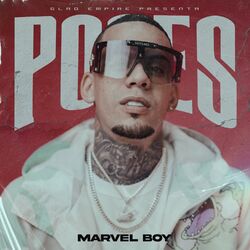 Cover of Poses